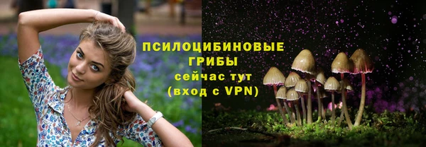 не бодяженный Медвежьегорск