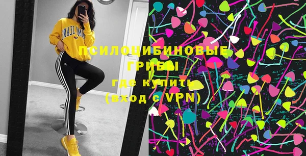 не бодяженный Медвежьегорск