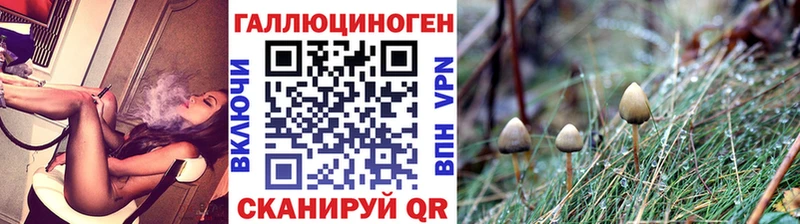 MEGA зеркало  Сусуман  Галлюциногенные грибы Cubensis 